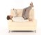 Odpoledním spánkem si dobijete baterky